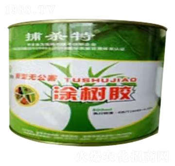 Ϳ���z-������-�f��