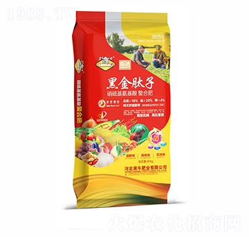 ��������������Ϸ�-��