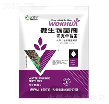 ΢�������-�ֿ��A��ʥ-�ֿ��A