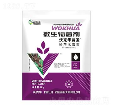 ΢�������������ľù����-�ֿ��A��ʥ-�ֿ��A