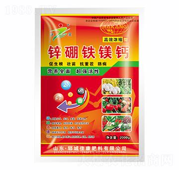 �\���F�V�}-�ѿ�