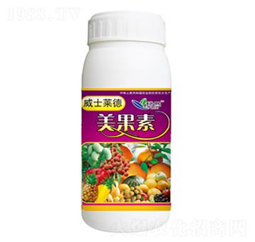 ������-�G��-��ʿ�R��