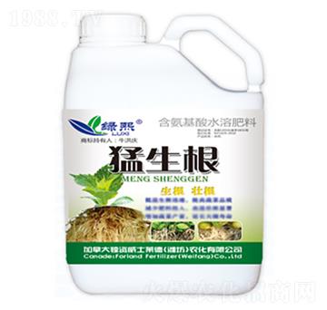 ������-�G��-��ʿ�R��