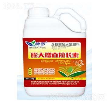 �����ֱ���L��-�G��-��ʿ�R��