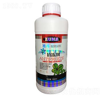 ������-�欔-�ʰl(f��)����