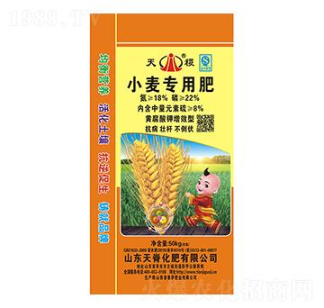 С����(zhu��n)�÷�18-22-8-���-�켹