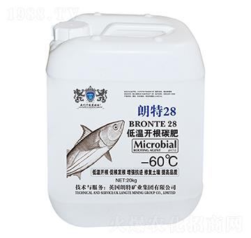 �͜��_��̼��-����28-Ӣ����