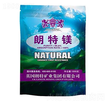 �����V-Ӣ����