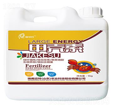 �ך���-��ɵ�-���w�~��