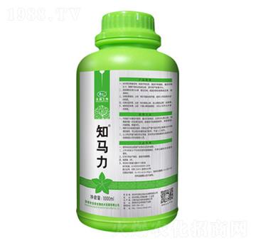 ֪�R��-�̵�