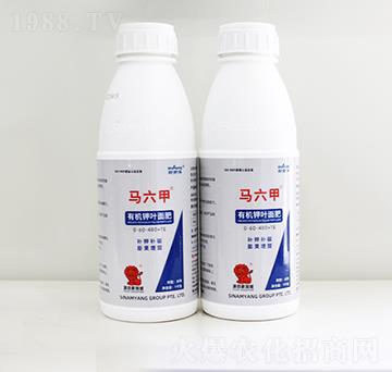 �R�����ЙC(j��)��~���-Сħ��