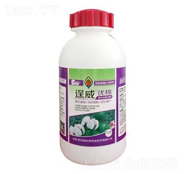 ��������~���-������(y��u)��-��(��i)��̩