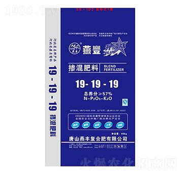 �������19-19-19-���S