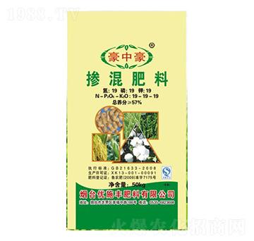 �������19-19-19-���к�-��(y��u)ʩ�S