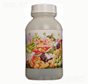 �I(y��ng)�B(y��ng)��5̖(h��o)-�n����