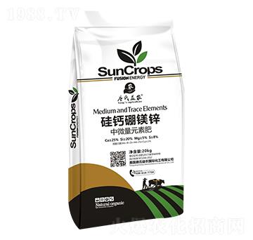 ���}���V�\-���ϻ���