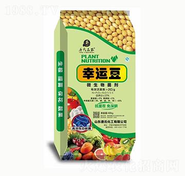 ���\(y��n)��΢�������-���ϻ���