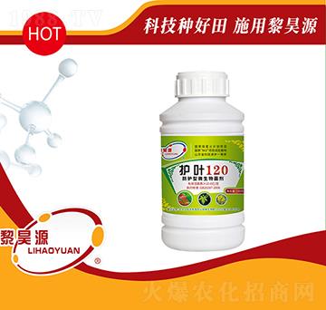 ���o��΢�������-�o�~120-���Դ