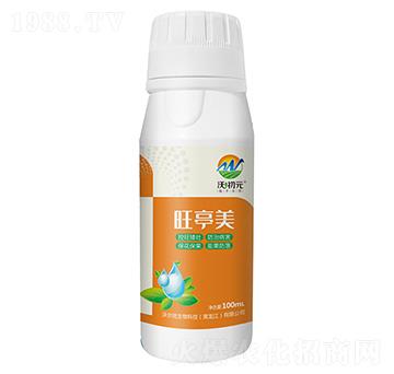 ��ͤ��-�֠���(y��u)