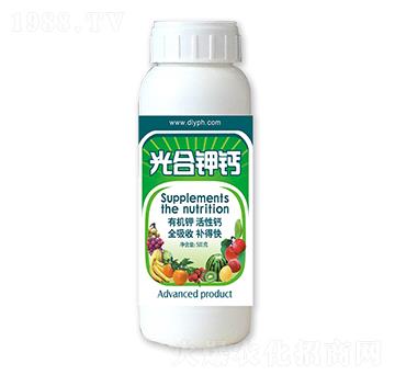 �����}-��������