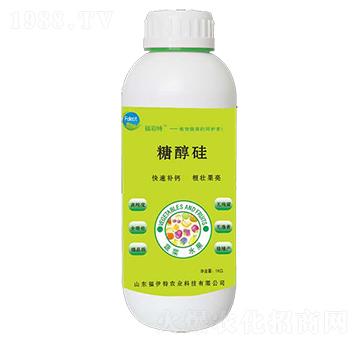 �Ǵ���-������-������