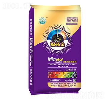 ��ʯ΢�������-���i��-���i����