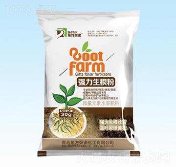 ��(qi��ng)��������-�|��Ӣ�Z