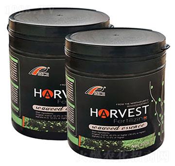 ����ʩ�S��Ȼ�������Ｄ����-��ɪ��