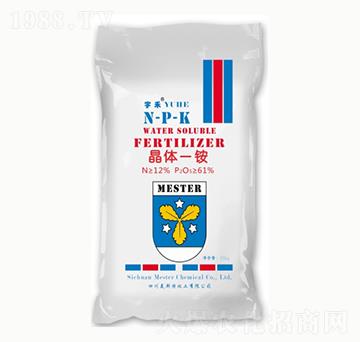 ��̾��wһ�@-㑝�����