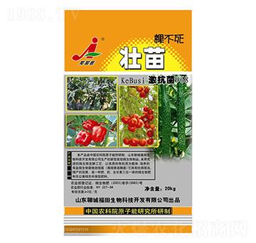 ����ò���-��������