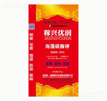 ����̼ø�-���d��(y��u)��-