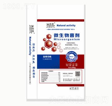 ���b΢�������-ꖹ⻯