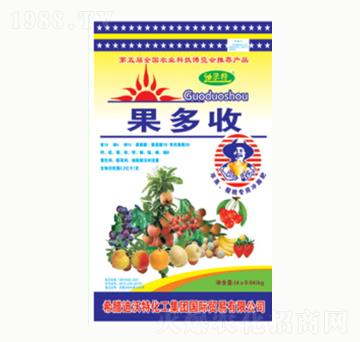 ������-ꖹ⻯��