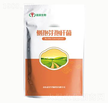 ��(c��)��ѿ�ߗU��-�������