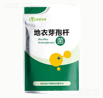 ����ѿ�ߗU��-�������