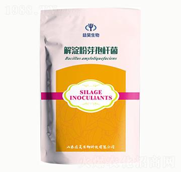 �����ѿ�ߗU��-�������