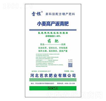 小麥高產(chǎn)返青肥（藥肥）-芭農(nóng)肥業(yè)