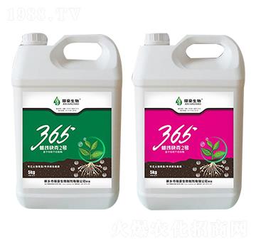 365�������2̖(h��o)-�ں�����