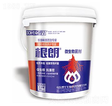 ΢�������-����-�n�r(n��ng)