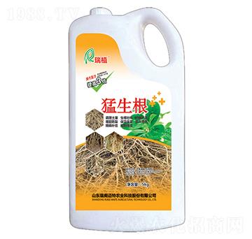 ������-��ֲ-���w�~��