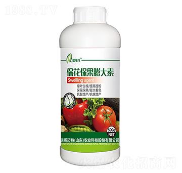 �������������-��ɵ�-���w�~��