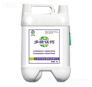 �����V�}-����Դ����