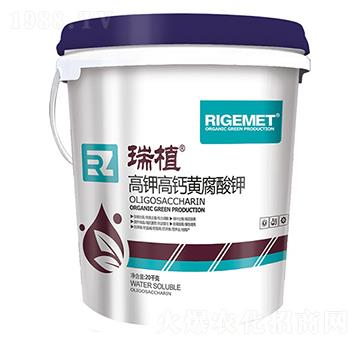 ��⛸��}�S�����-��ֲ-���w�~��