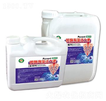 ̼ø��������أ���������-������-�W���S