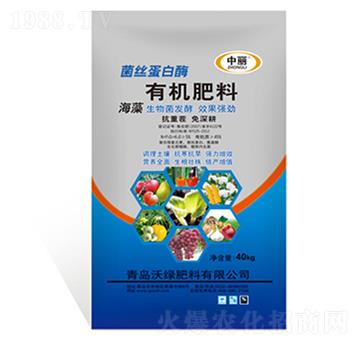 ���z����ø�ЙC����-�־G����