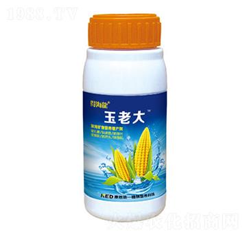 �������~�懊�ʷ�-���ϴ�-������