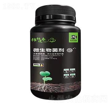 ΢�������-�޿ݷ괺-�r(n��ng)ϲ����