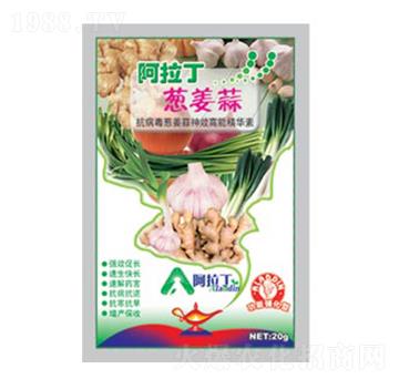 20g�[���⌣��-����