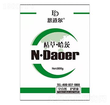 �ݲݡ�����-������