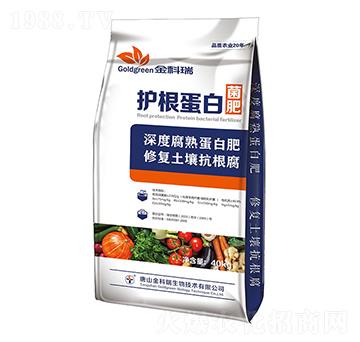 �o�����׾���-�����